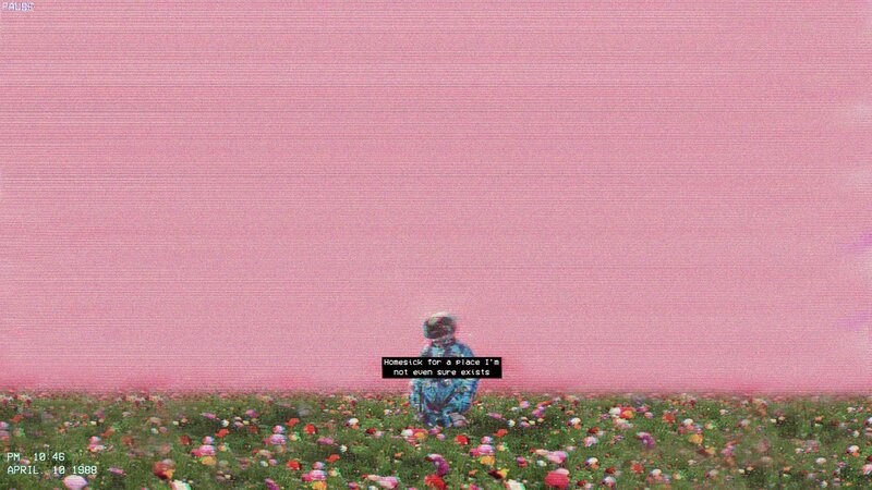 Astronaut in Flower Field