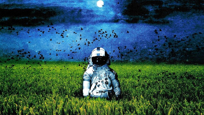 Astronaut in Grass Field