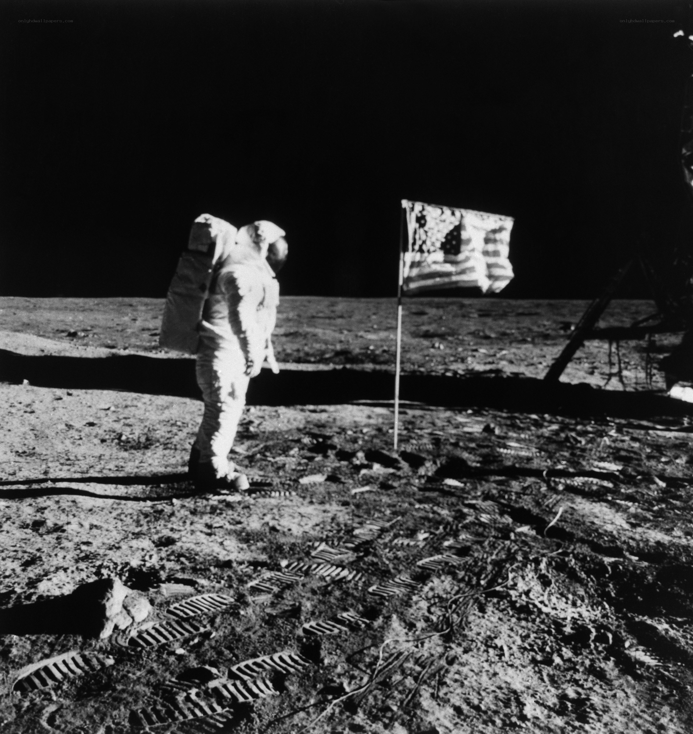 Astronaut on the Moon