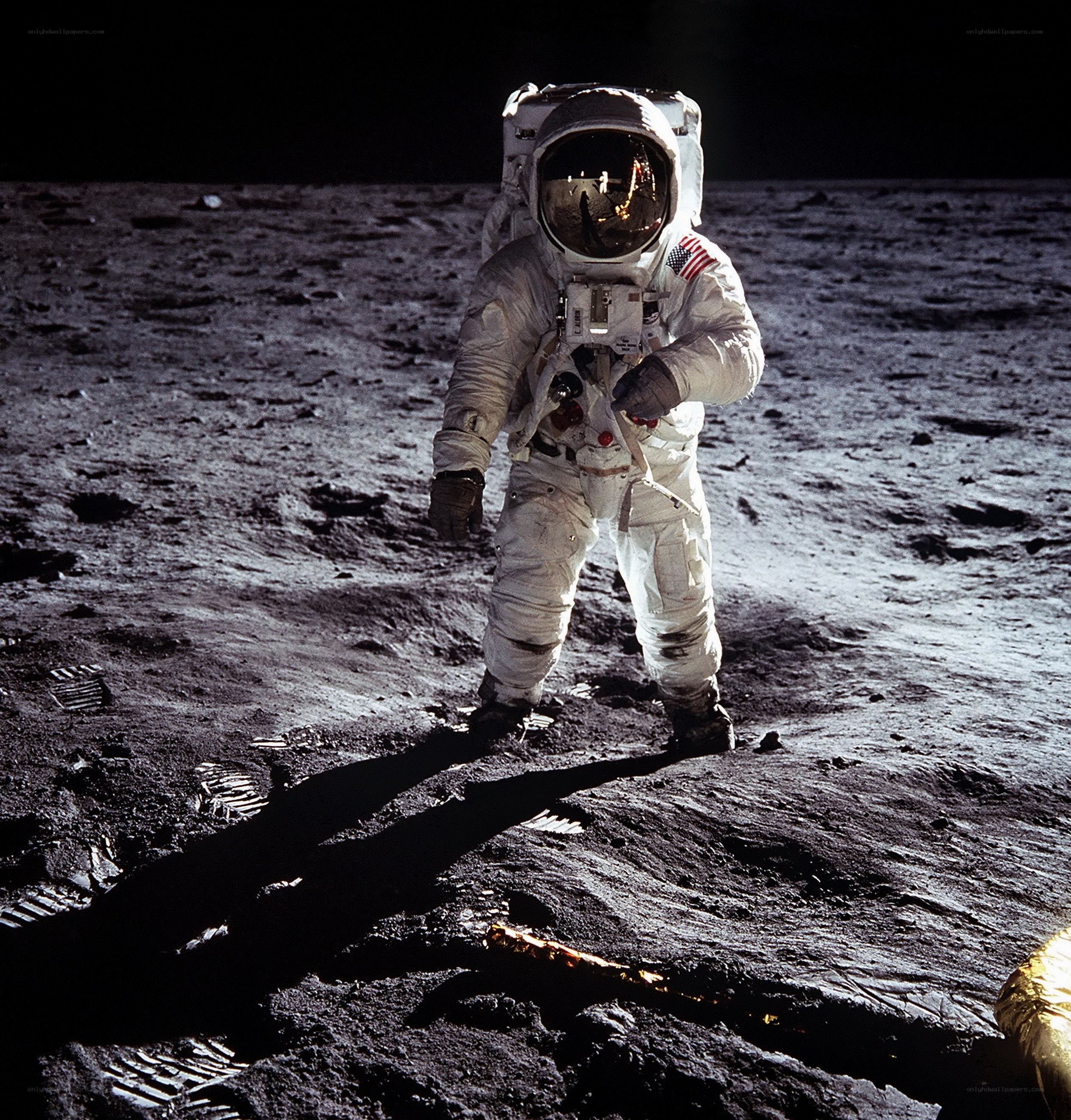 Astronaut on the Moon