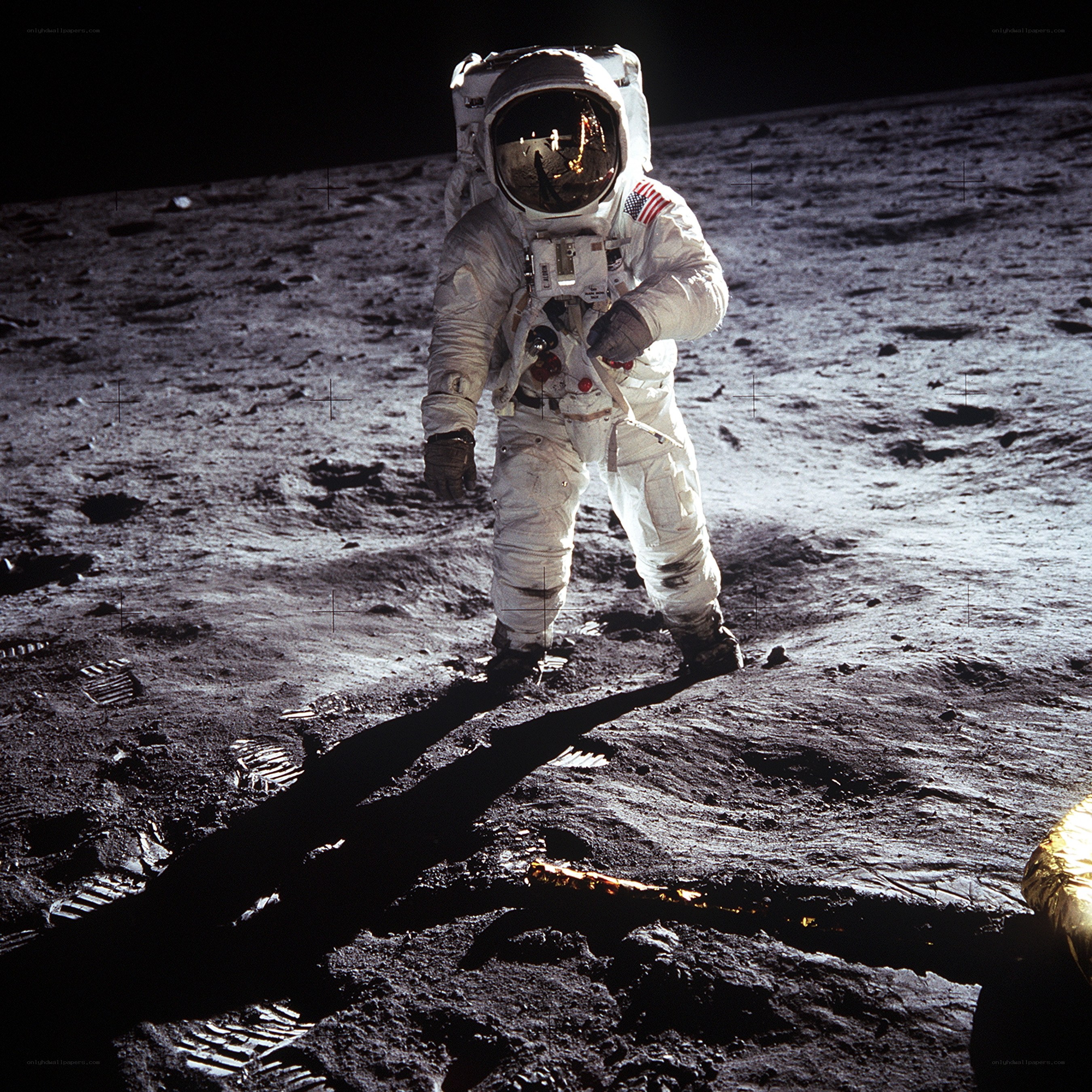 Astronaut on the Moon