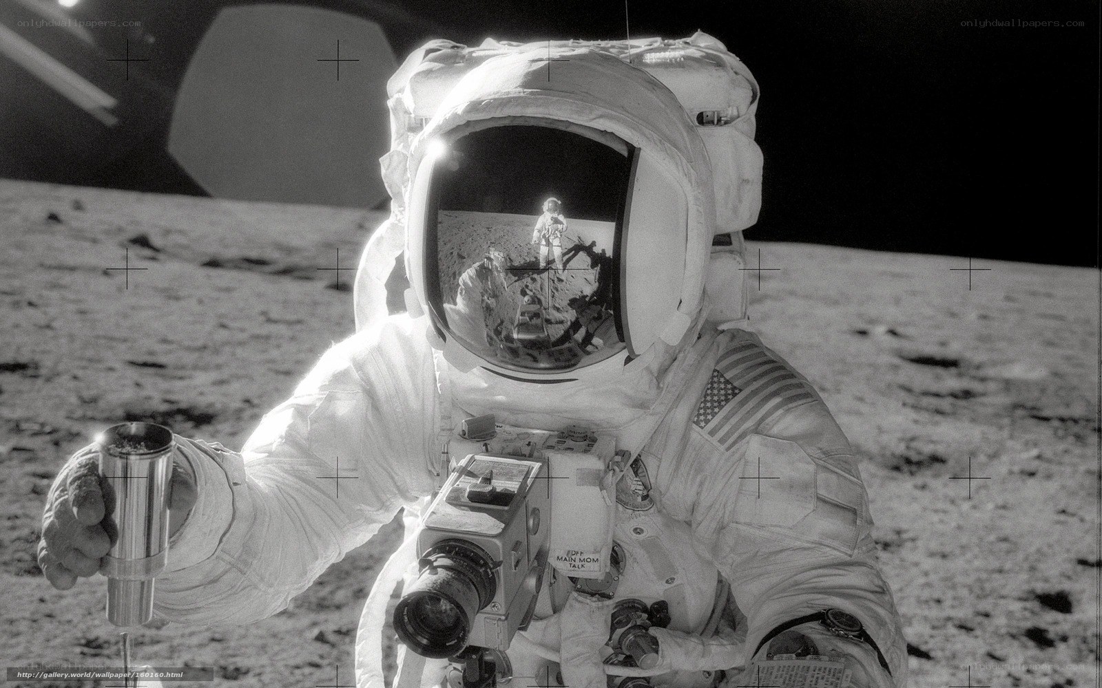 Astronaut on the Moon
