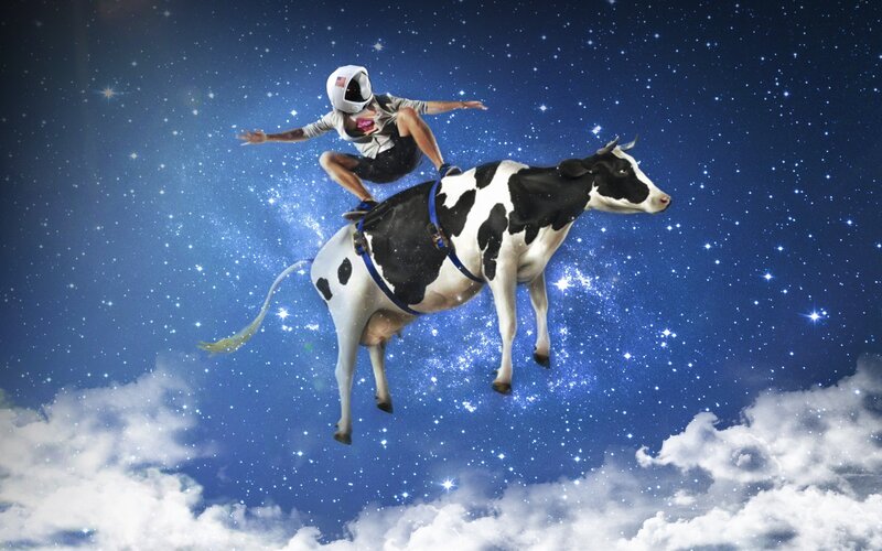 Astronaut Riding Cow