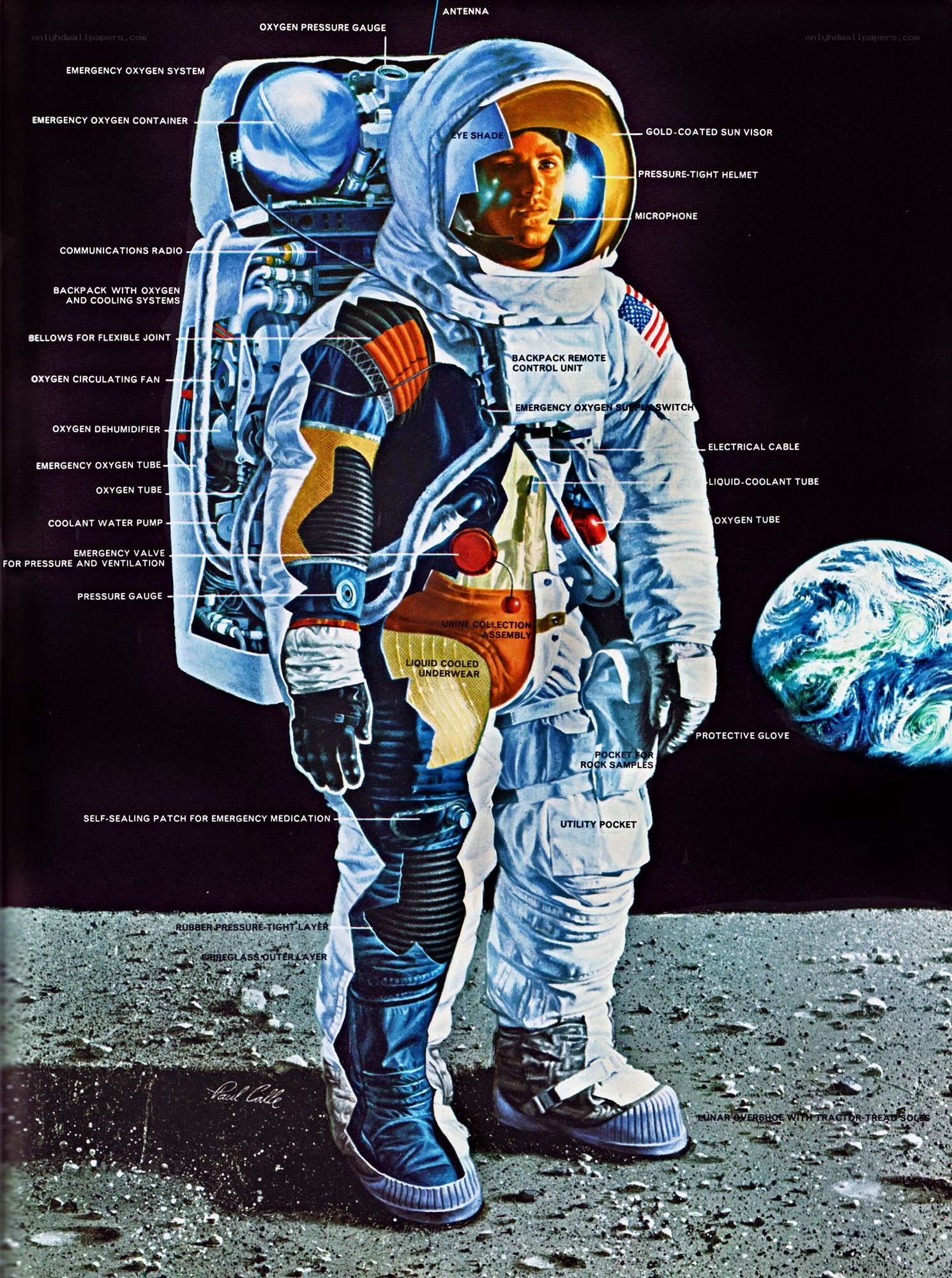 Astronaut spacesuit diagram