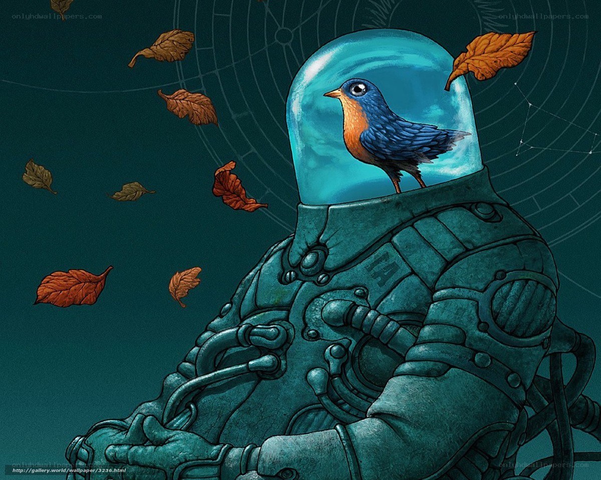 astronaut with bird in helmet