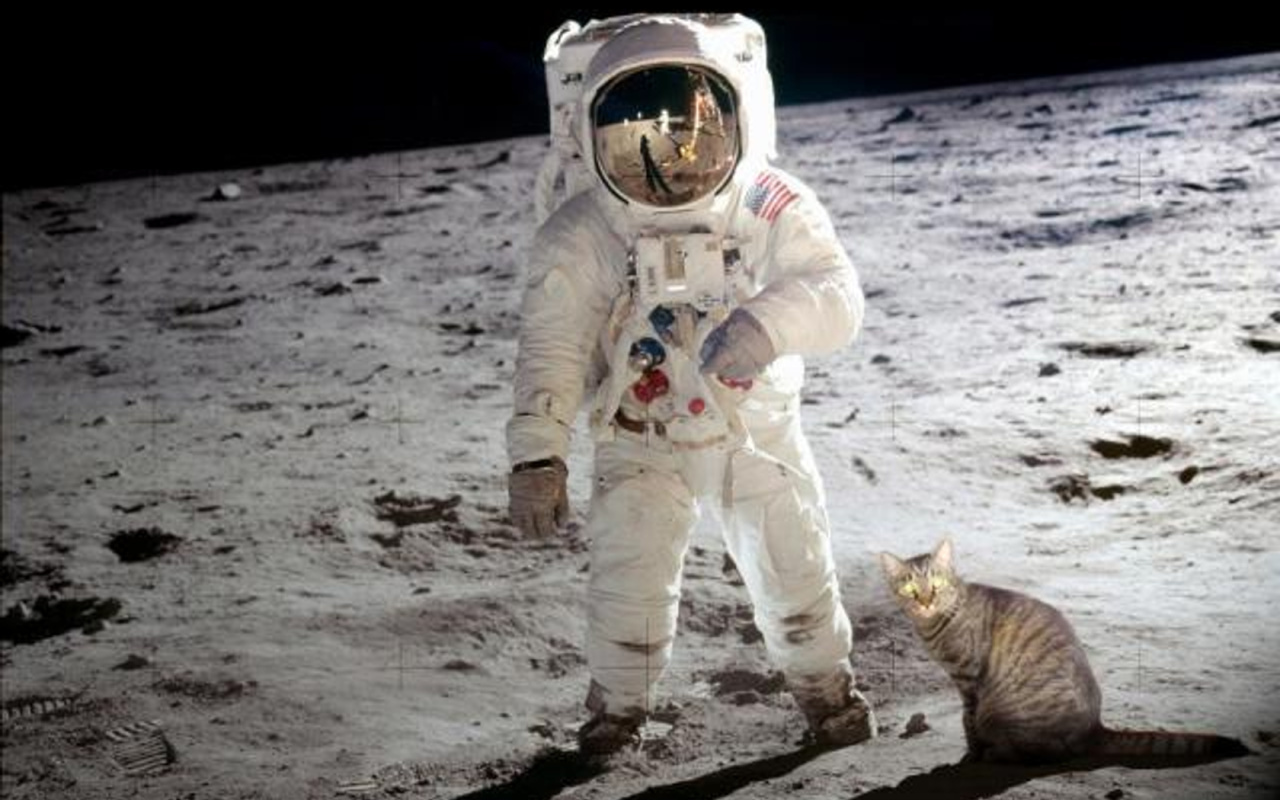 astronaut with cat on moon