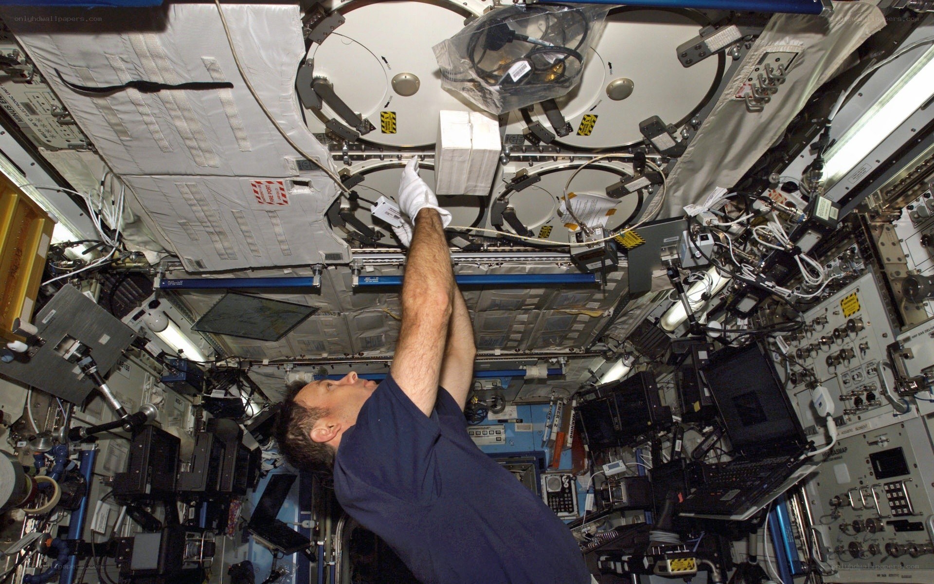 Astronaut working in space station