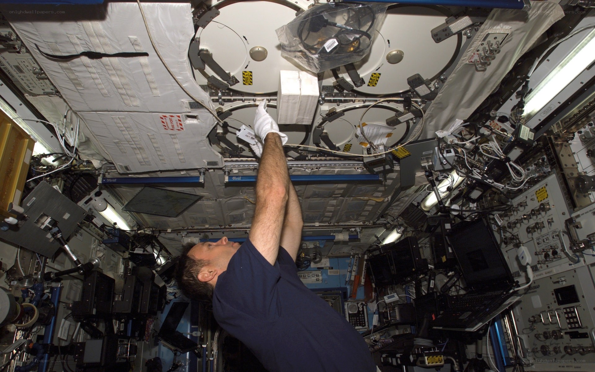 Astronaut working in space station