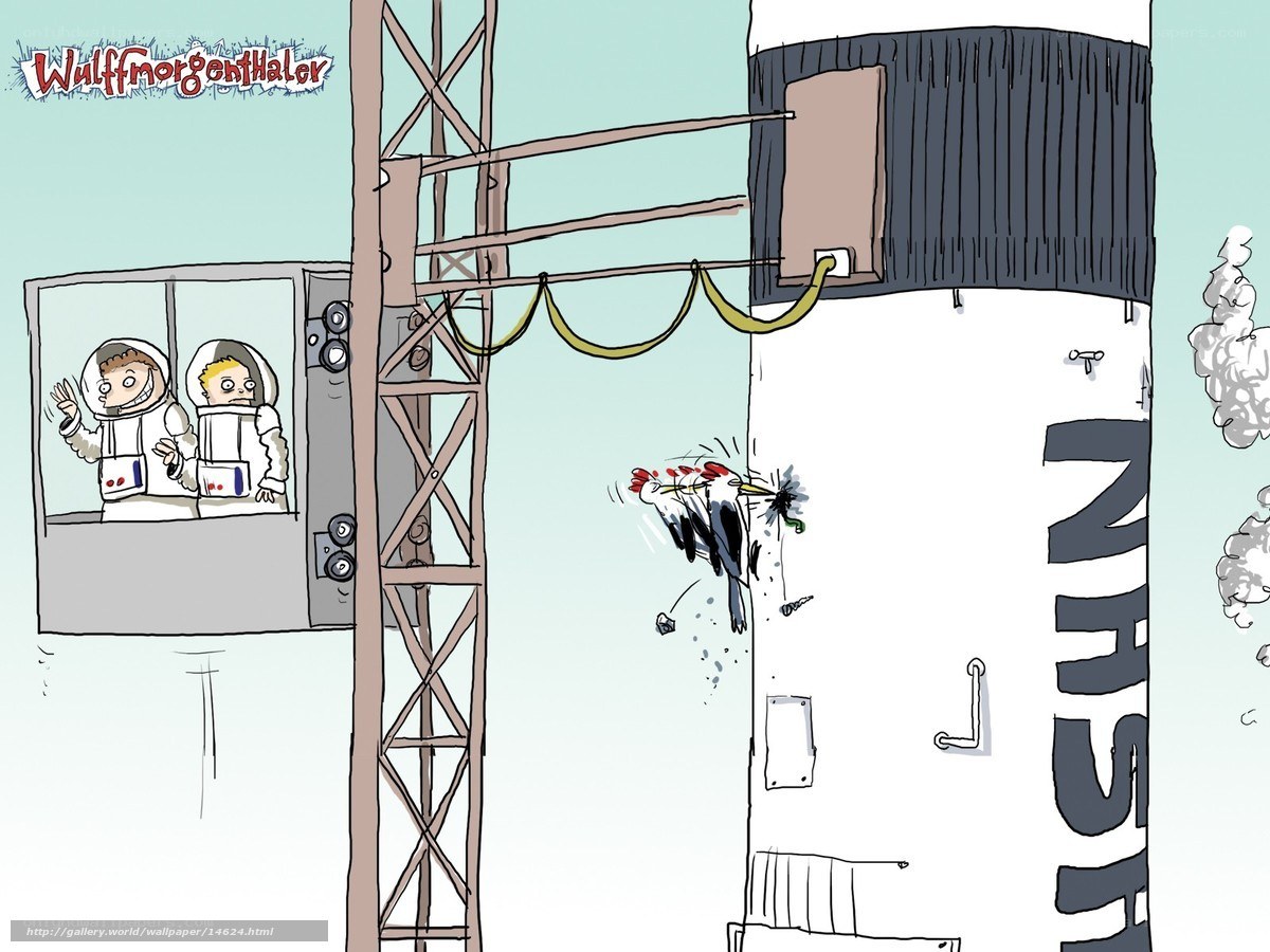 astronauts and a woodpecker