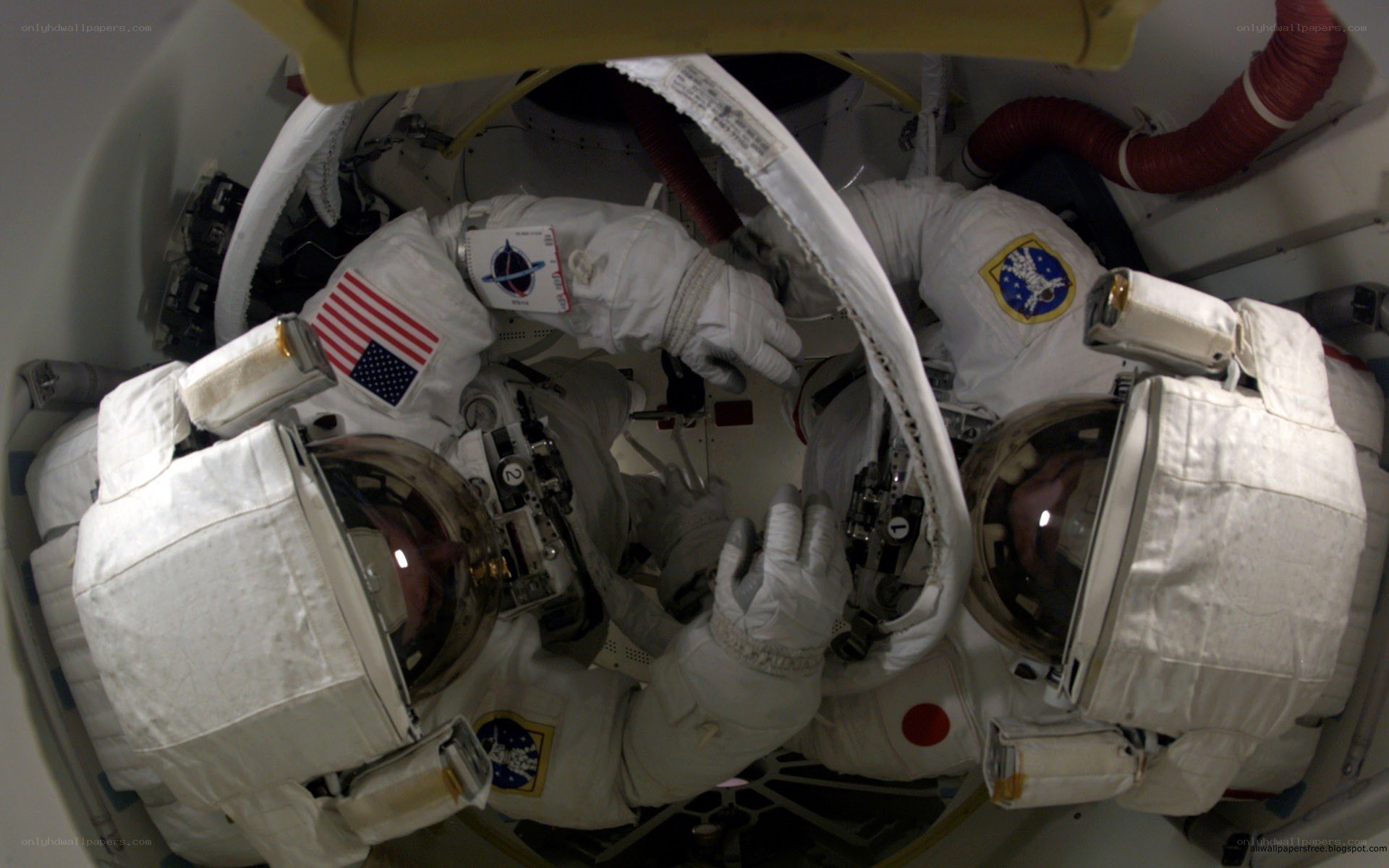 Astronauts in space suit