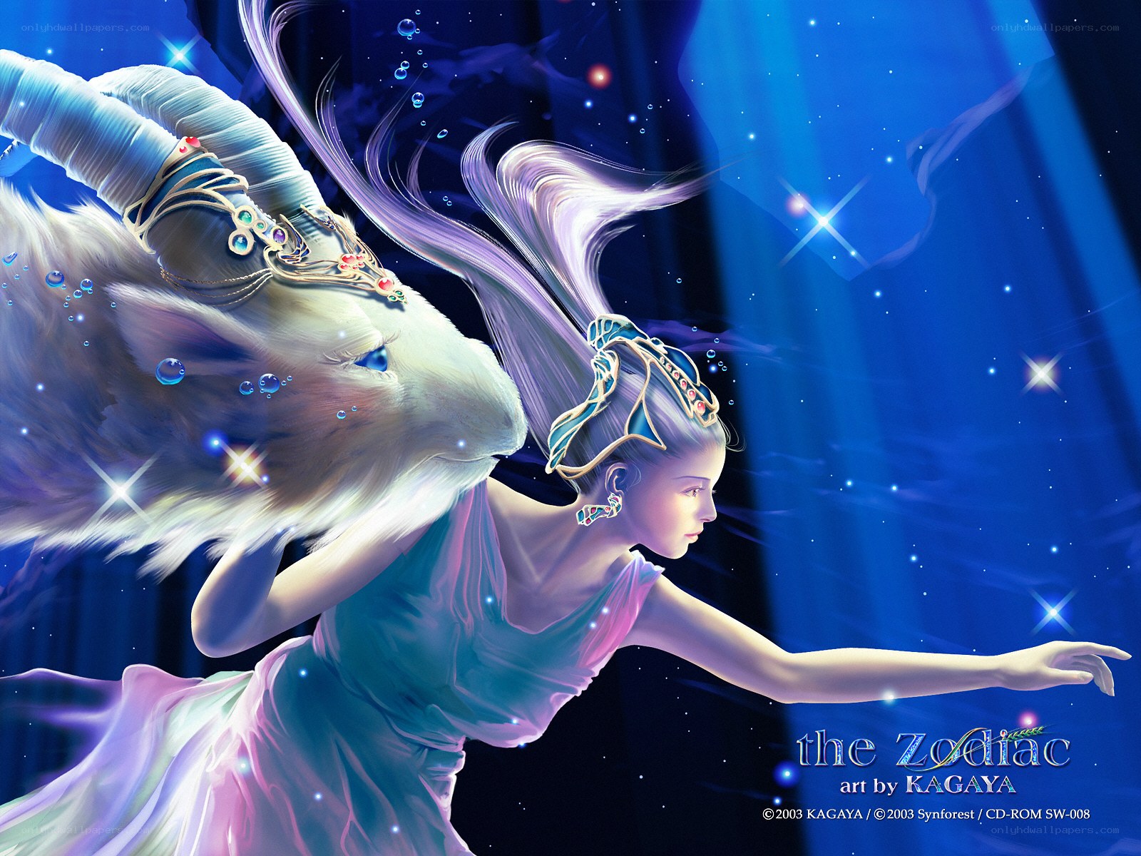 Astronomical zodiac art