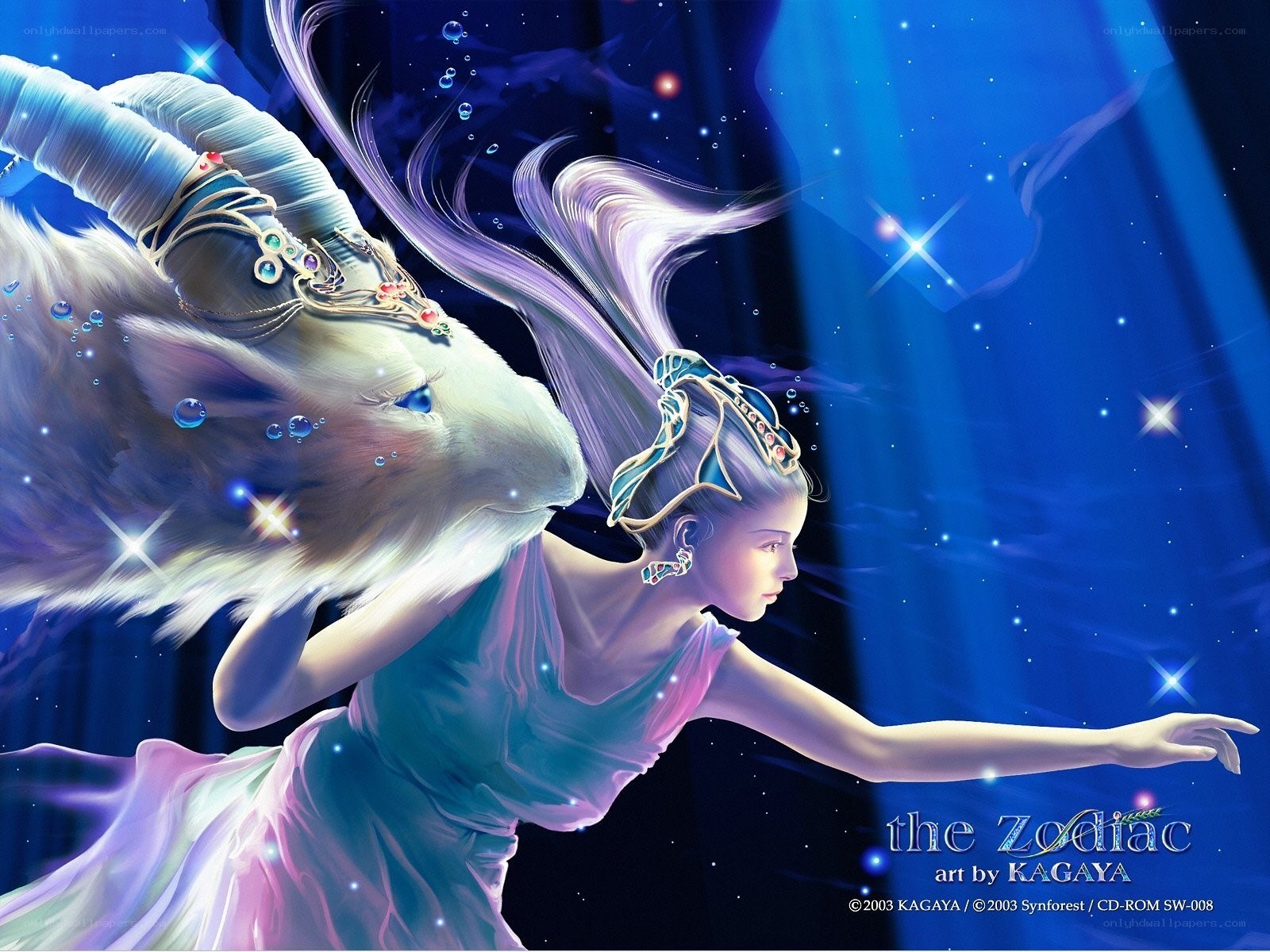 Astronomical zodiac art