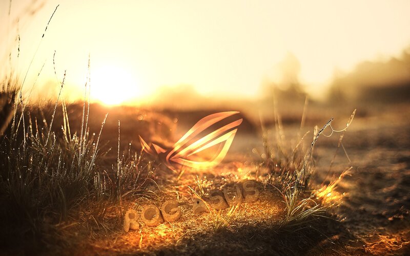 ASUS ROG Logo in Grass