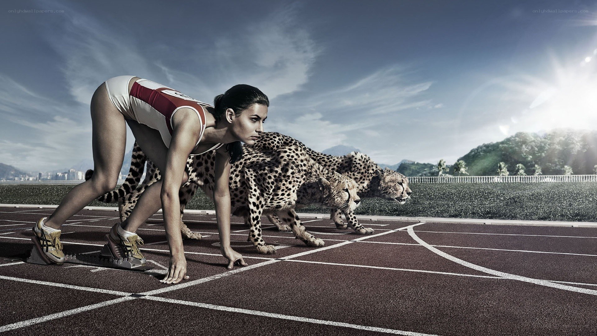 athlete and cheetahs at starting line