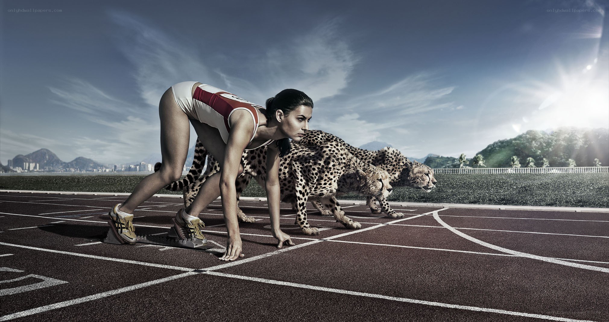 athlete and cheetahs on track