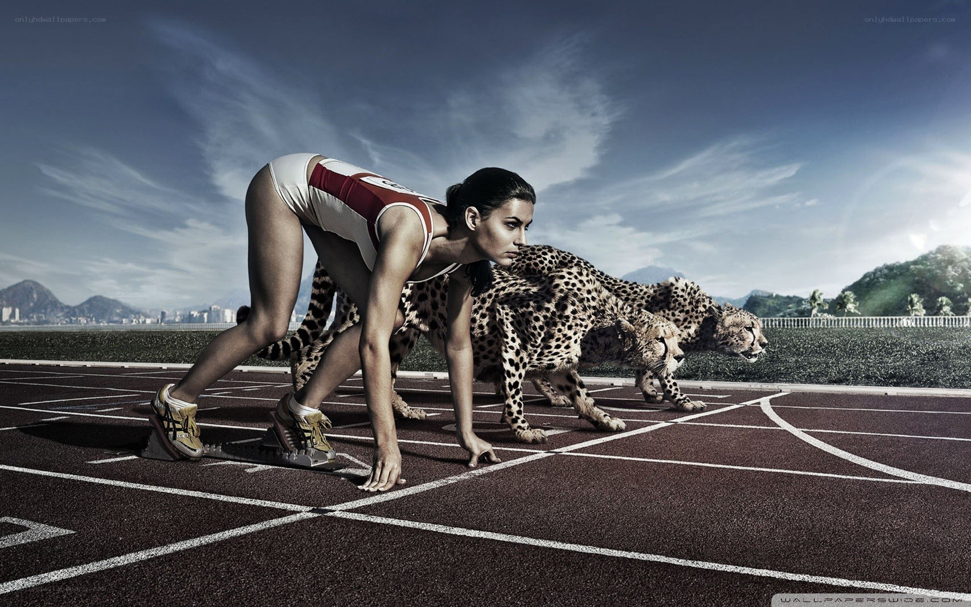 athlete and cheetahs on track