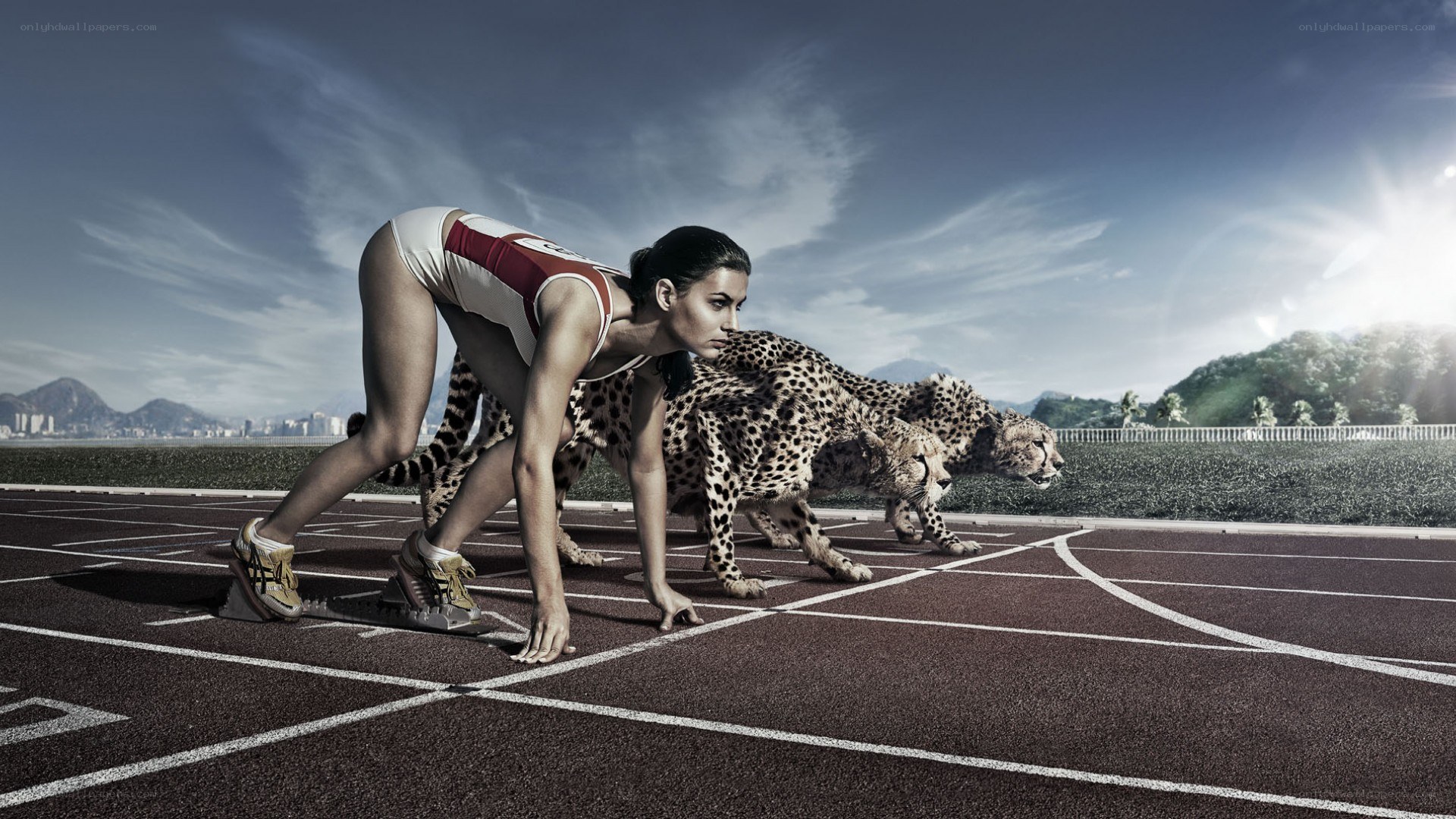 athlete and cheetahs on track