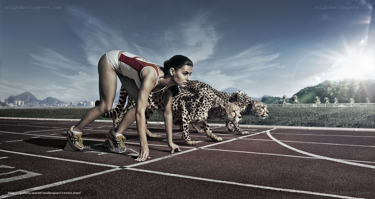 athlete and cheetahs on track