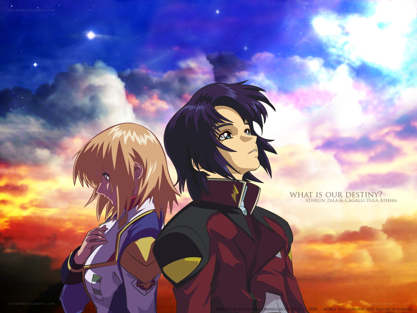Athrun and Cagalli under a starry sky