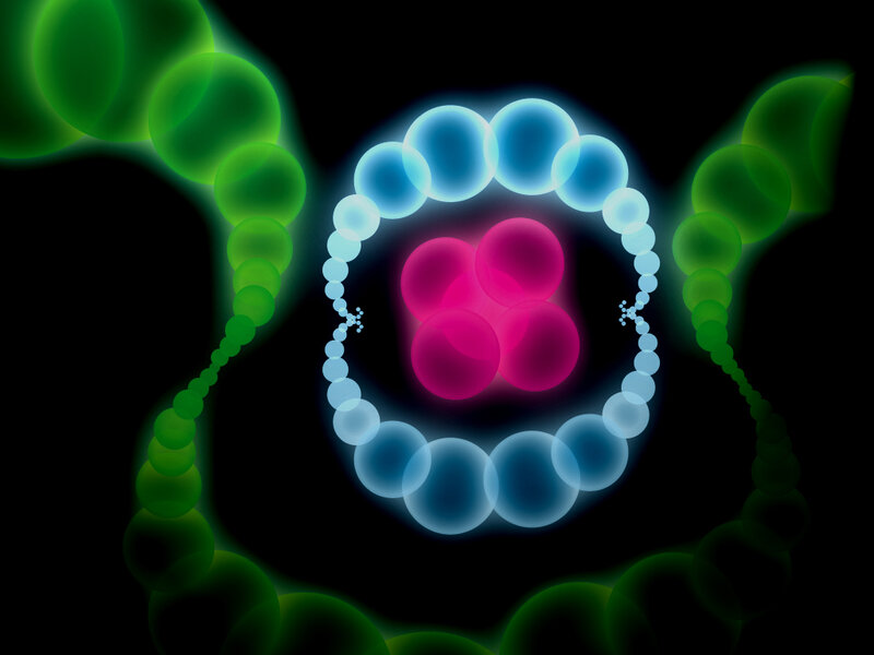 Atomic Nucleus Structure