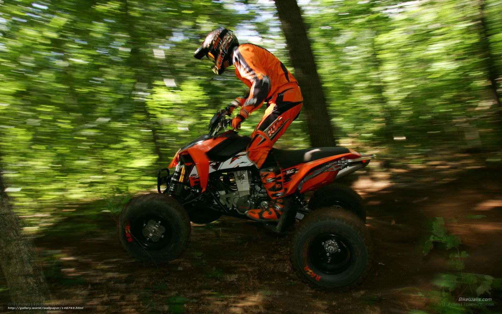 ATV rider in forest