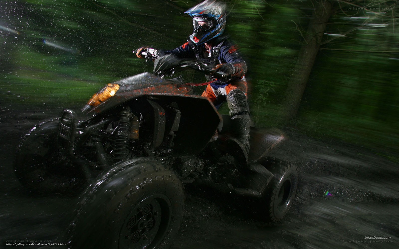 ATV rider in forest at night