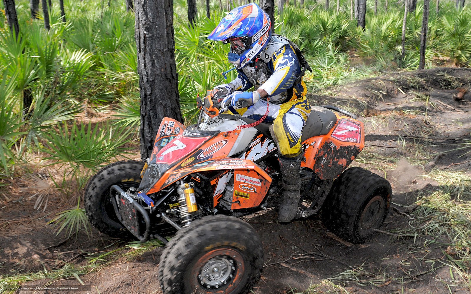 ATV rider in forest terrain