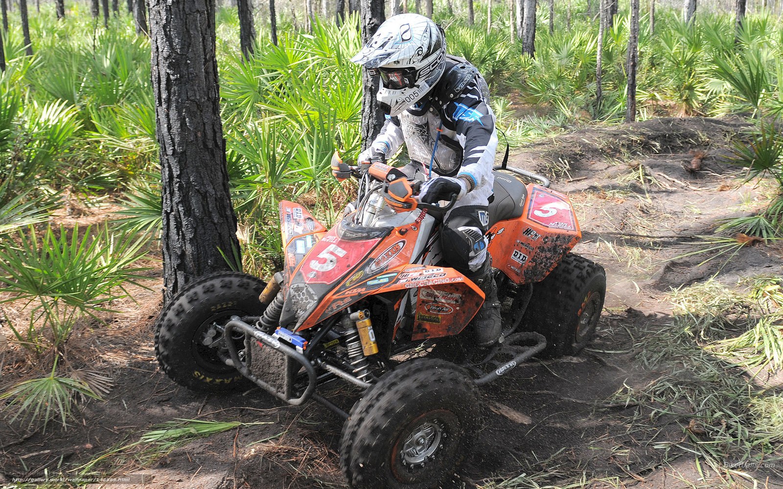 ATV rider in forest trail