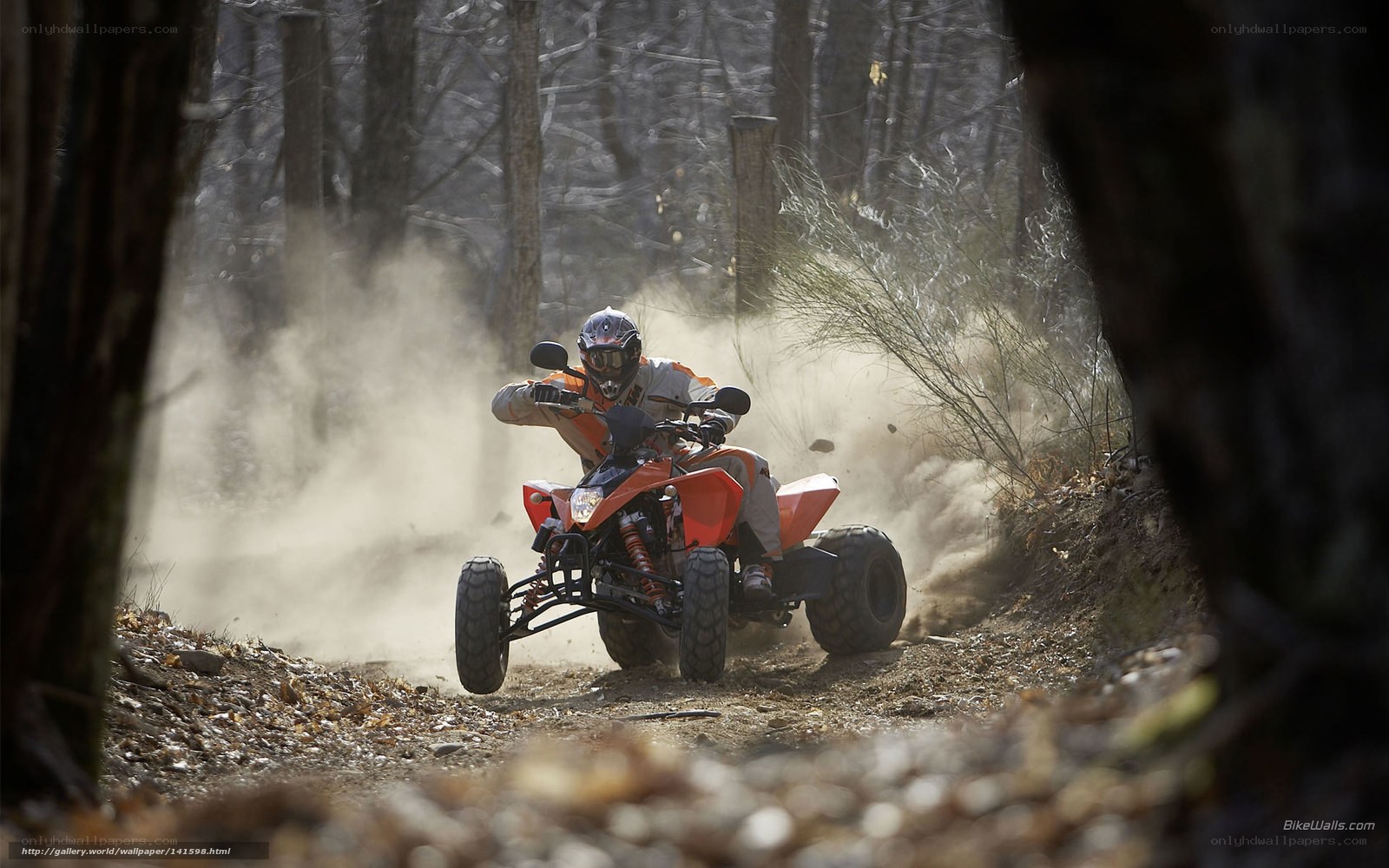 ATV rider in forest