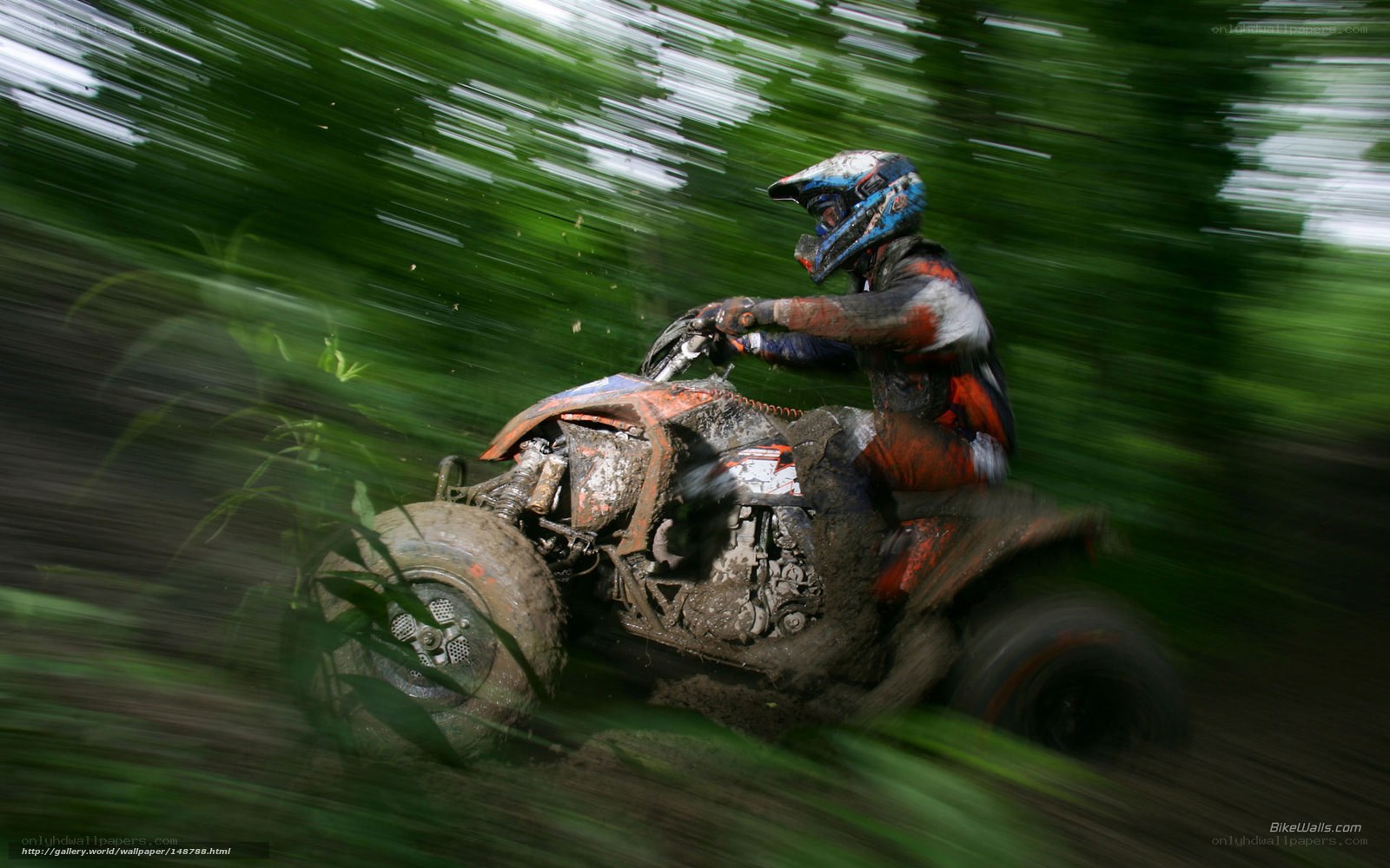 ATV rider in muddy forest