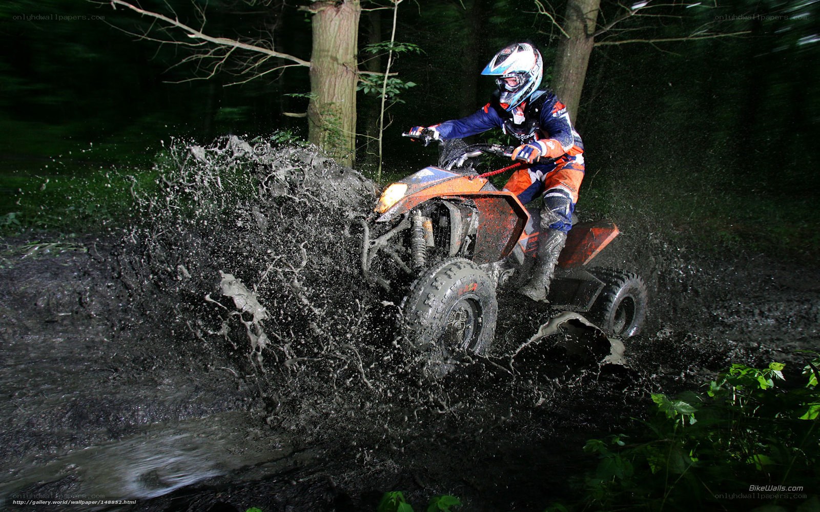 ATV rider in muddy forest