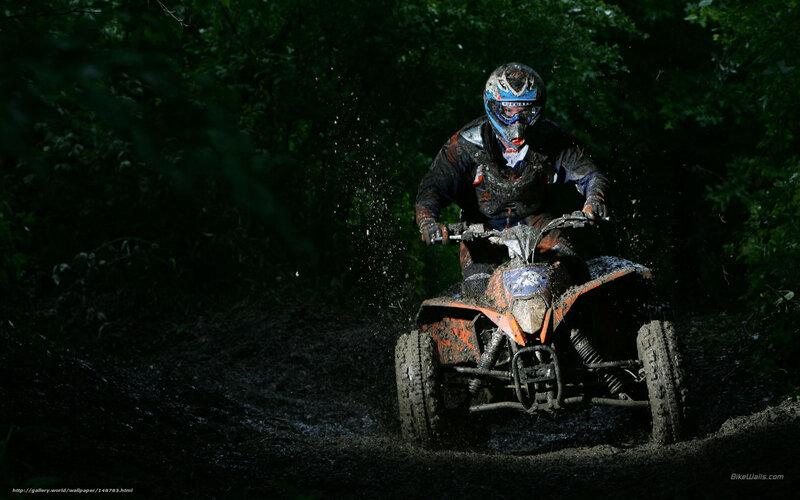 ATV rider in muddy forest