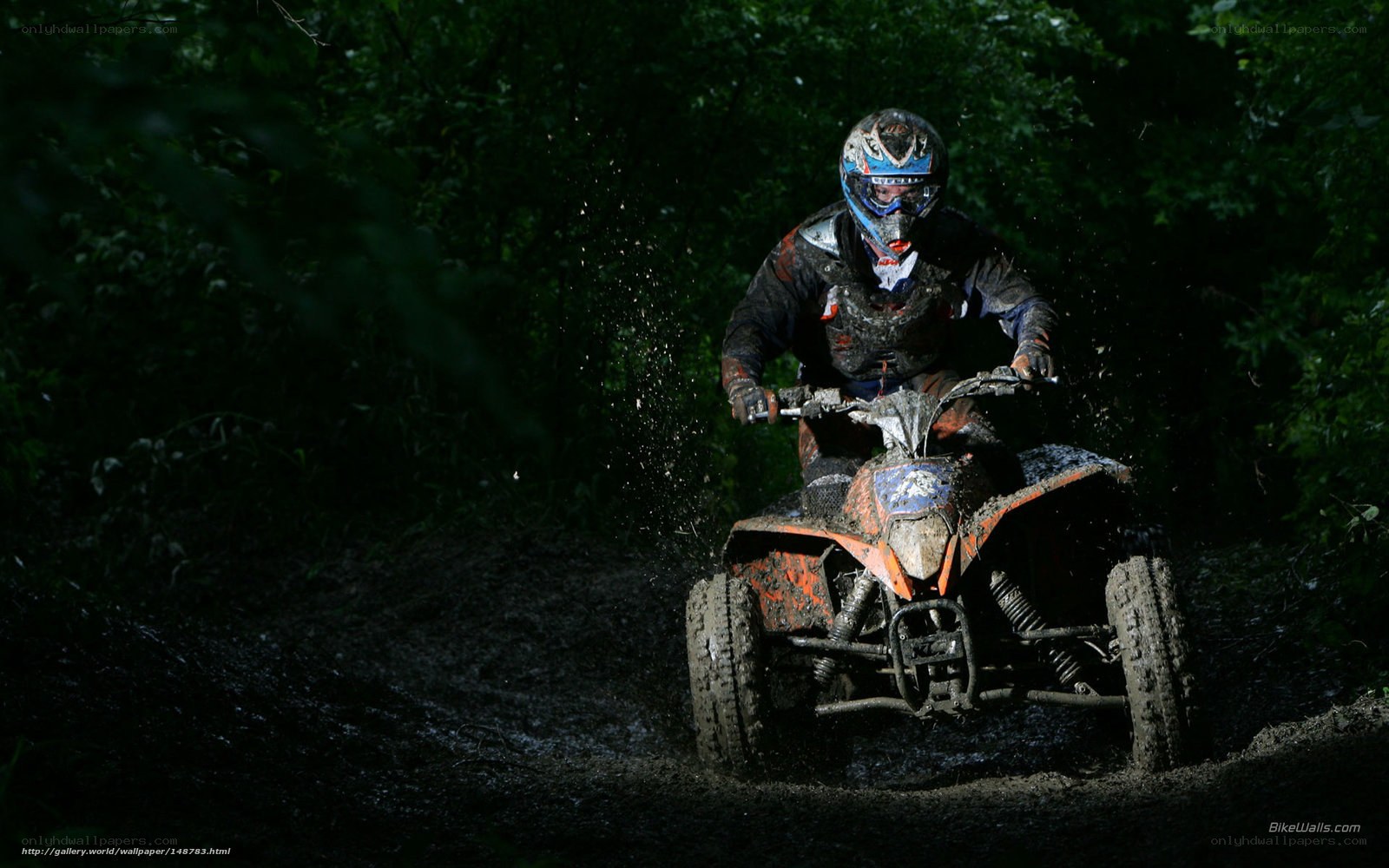 ATV rider in muddy forest