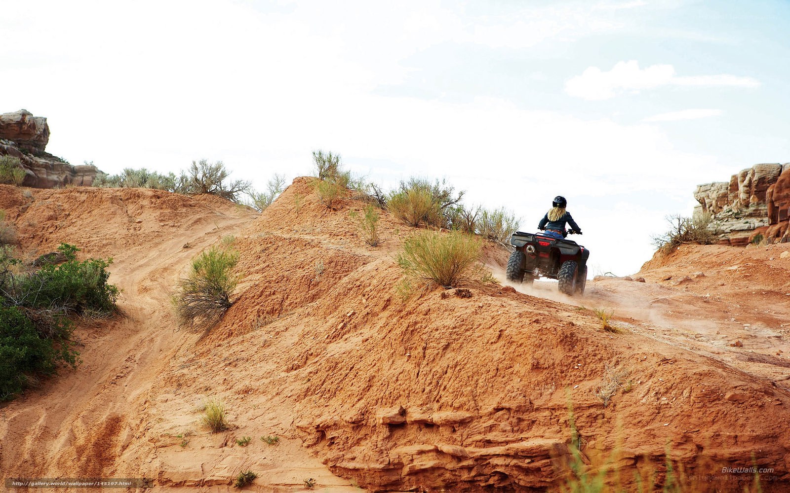 ATV rider on a desert trail