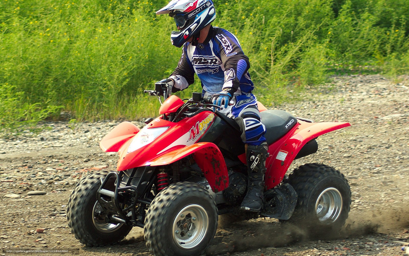 ATV rider on a dirt path