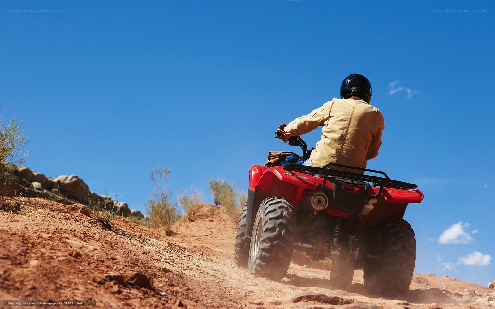 ATV rider on a dirt trail