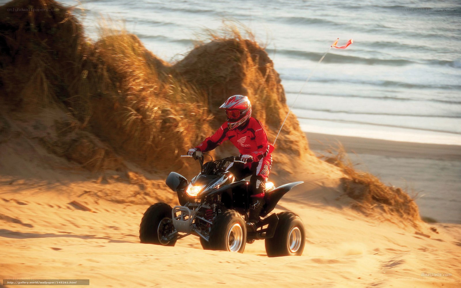 ATV rider on beach dunes