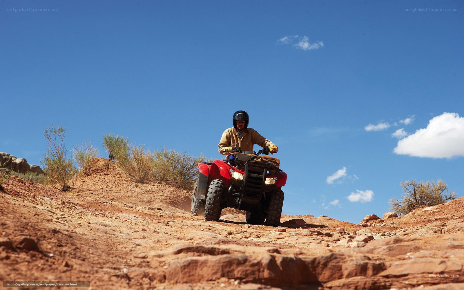 ATV rider on desert trail