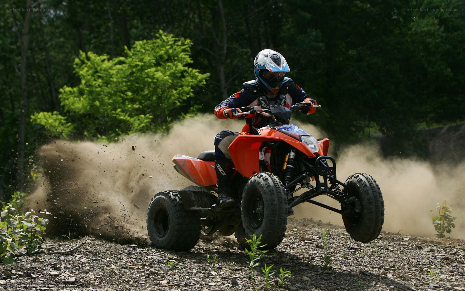 ATV rider on dirt trail