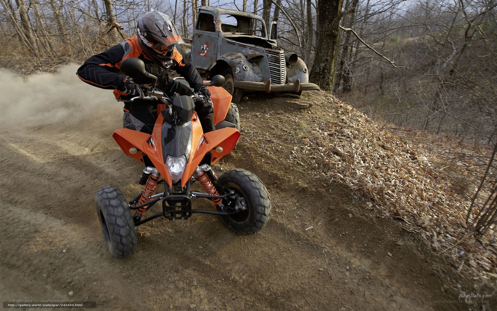 ATV rider on dirt trail