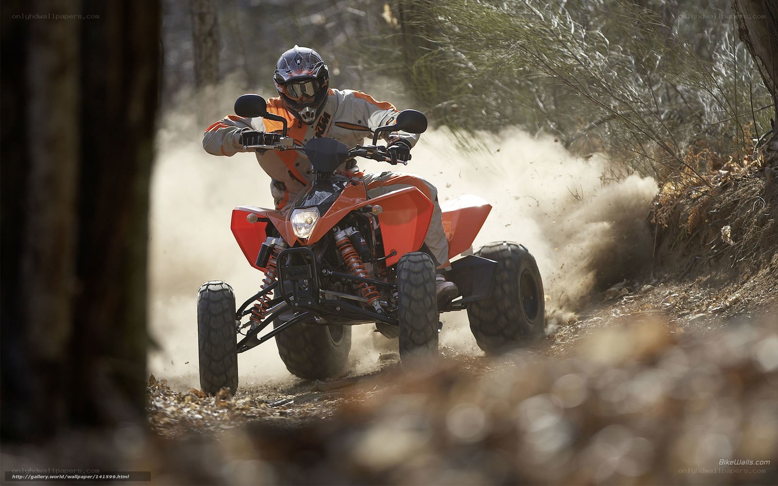 ATV rider on forest trail