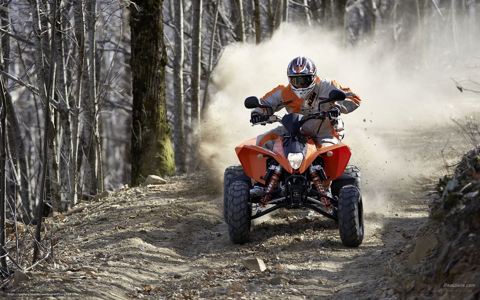 ATV rider on forest trail