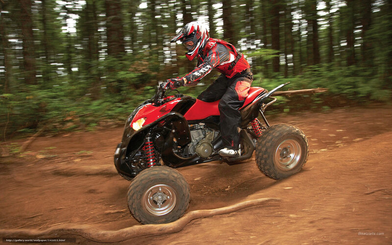 ATV rider on forest trail