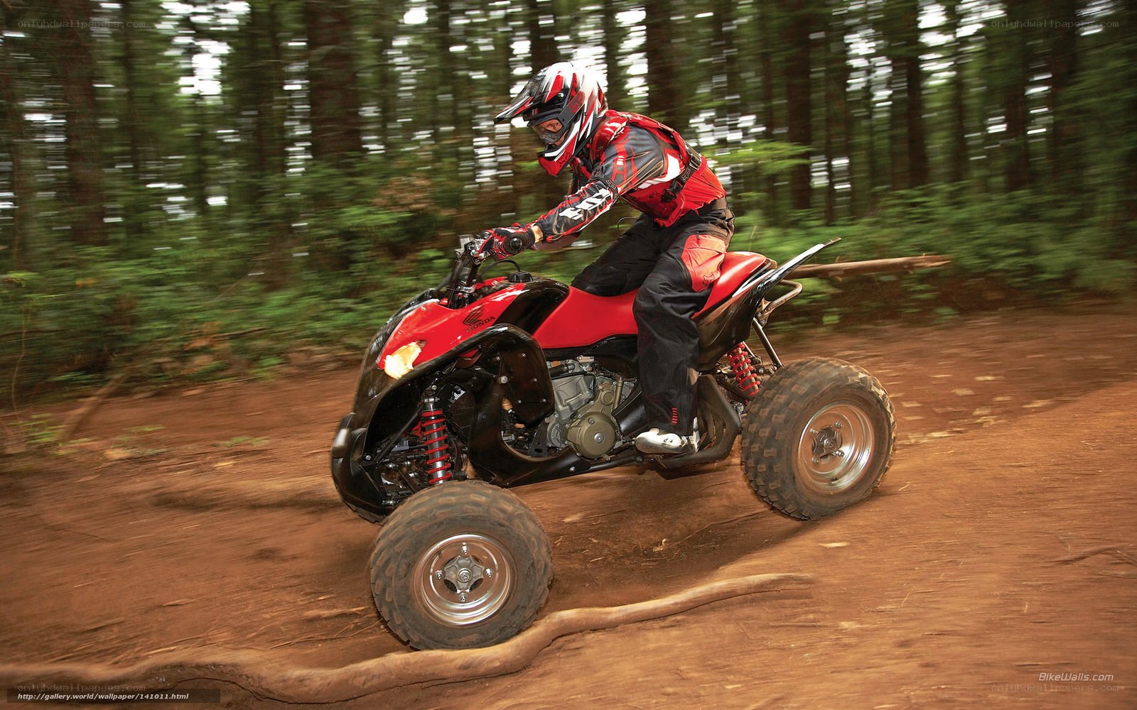 ATV rider on forest trail
