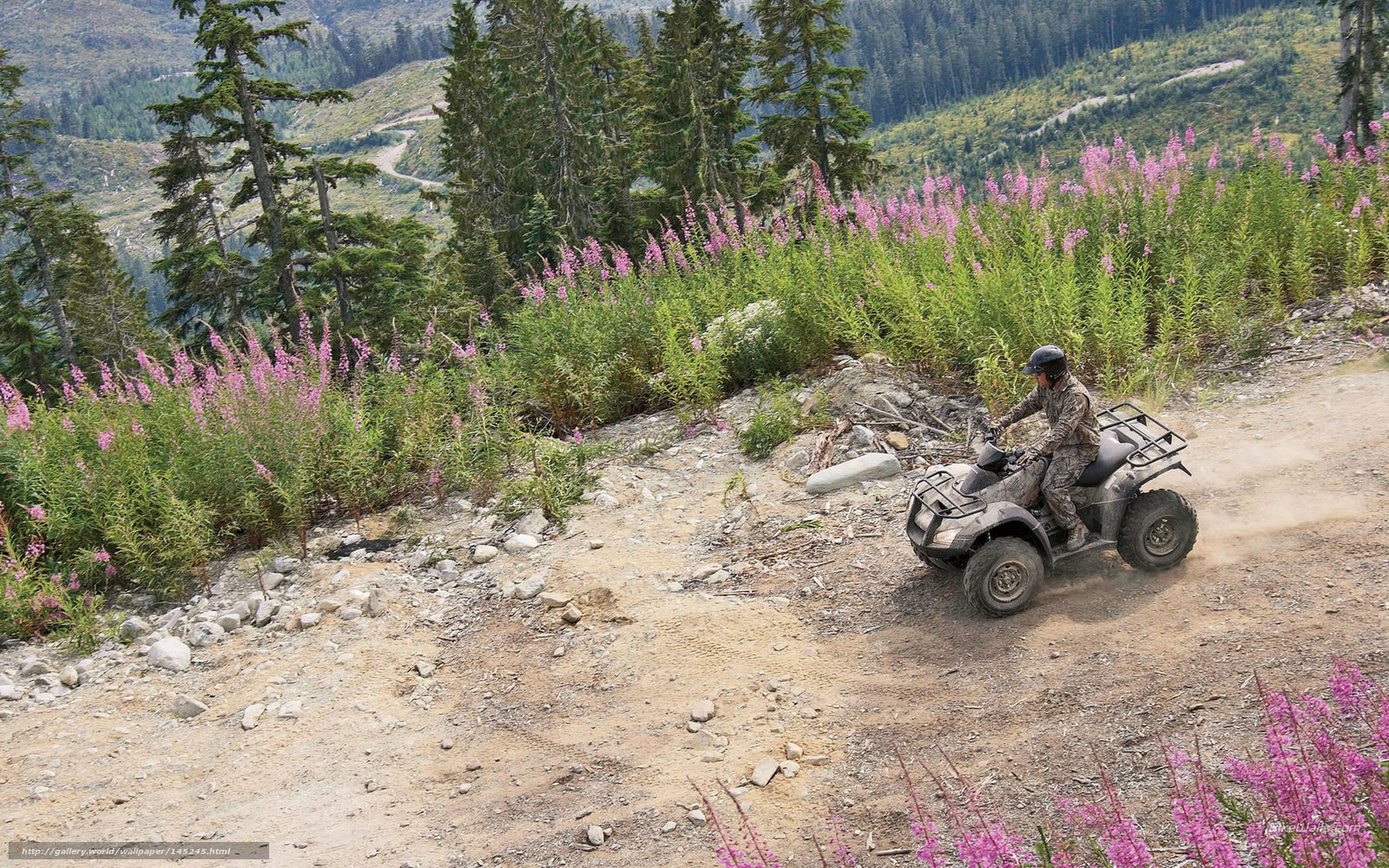 ATV rider on mountain trail