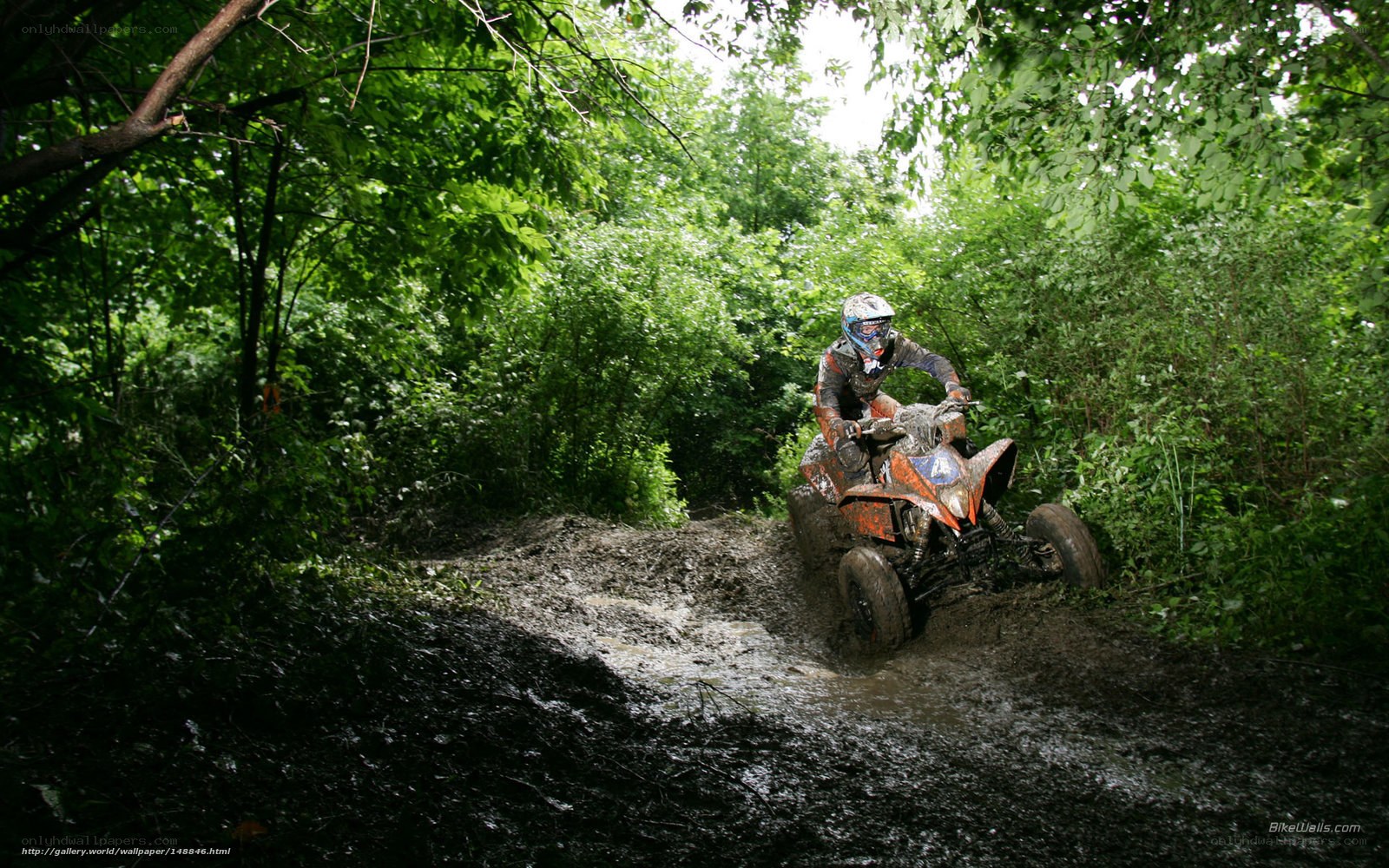 ATV rider on muddy trail