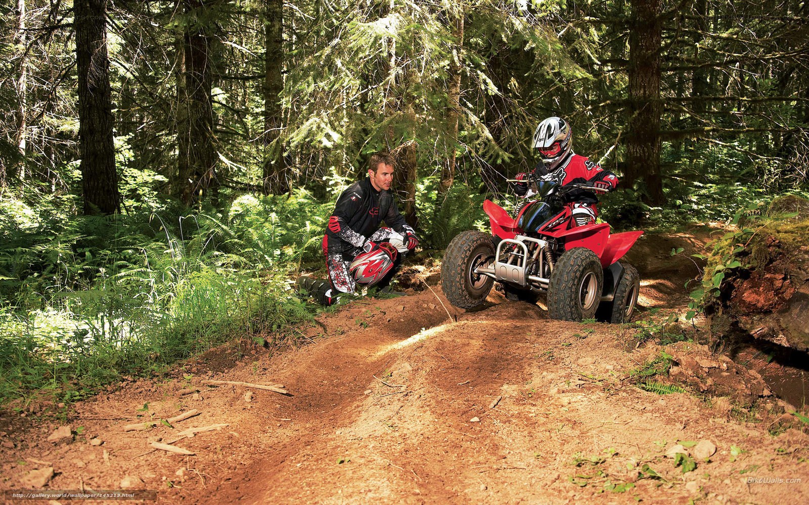 ATV riders in forest trail