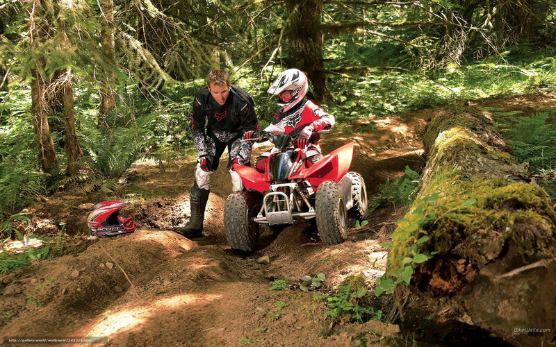 ATV riding in forest trail
