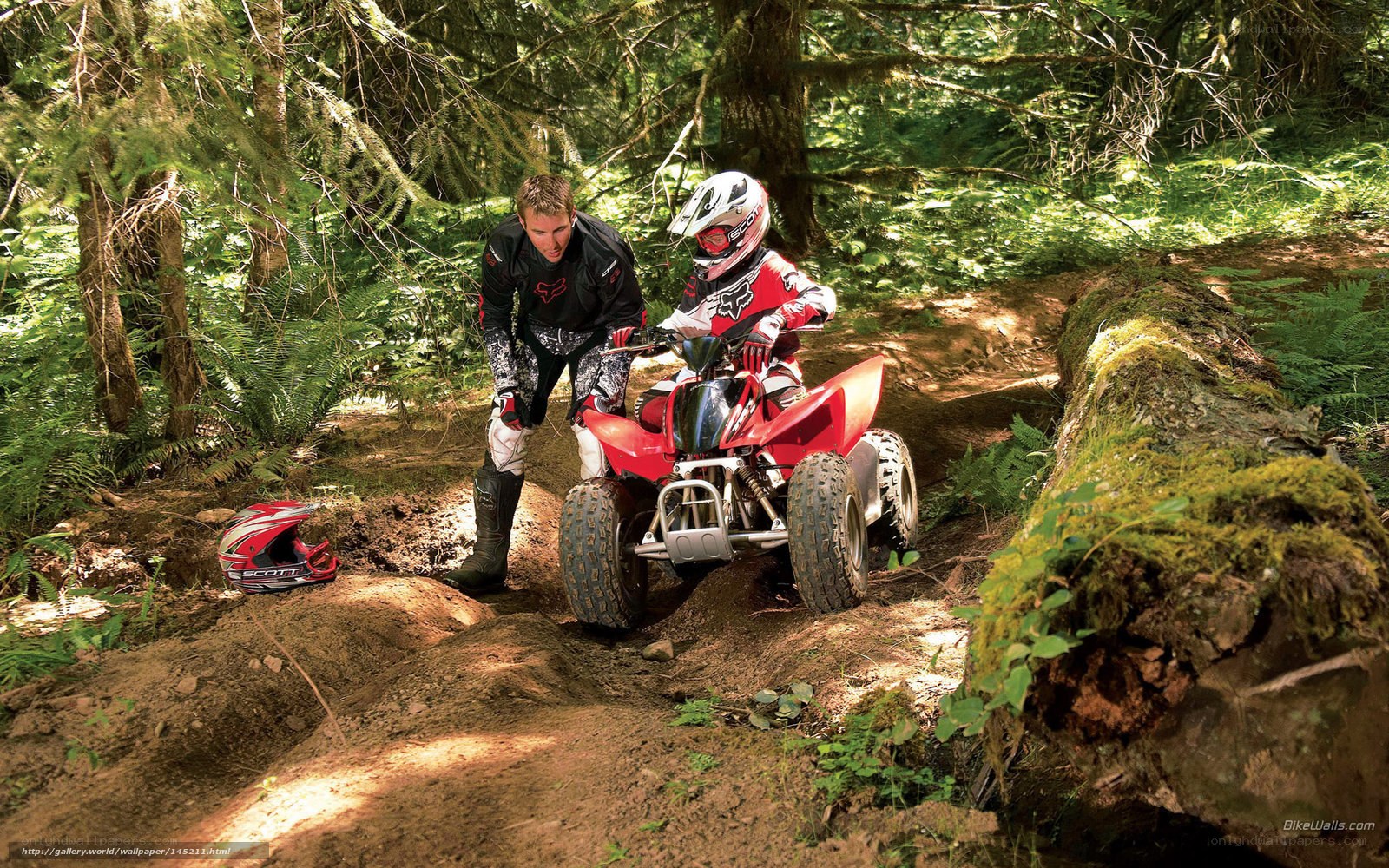 ATV riding in forest trail