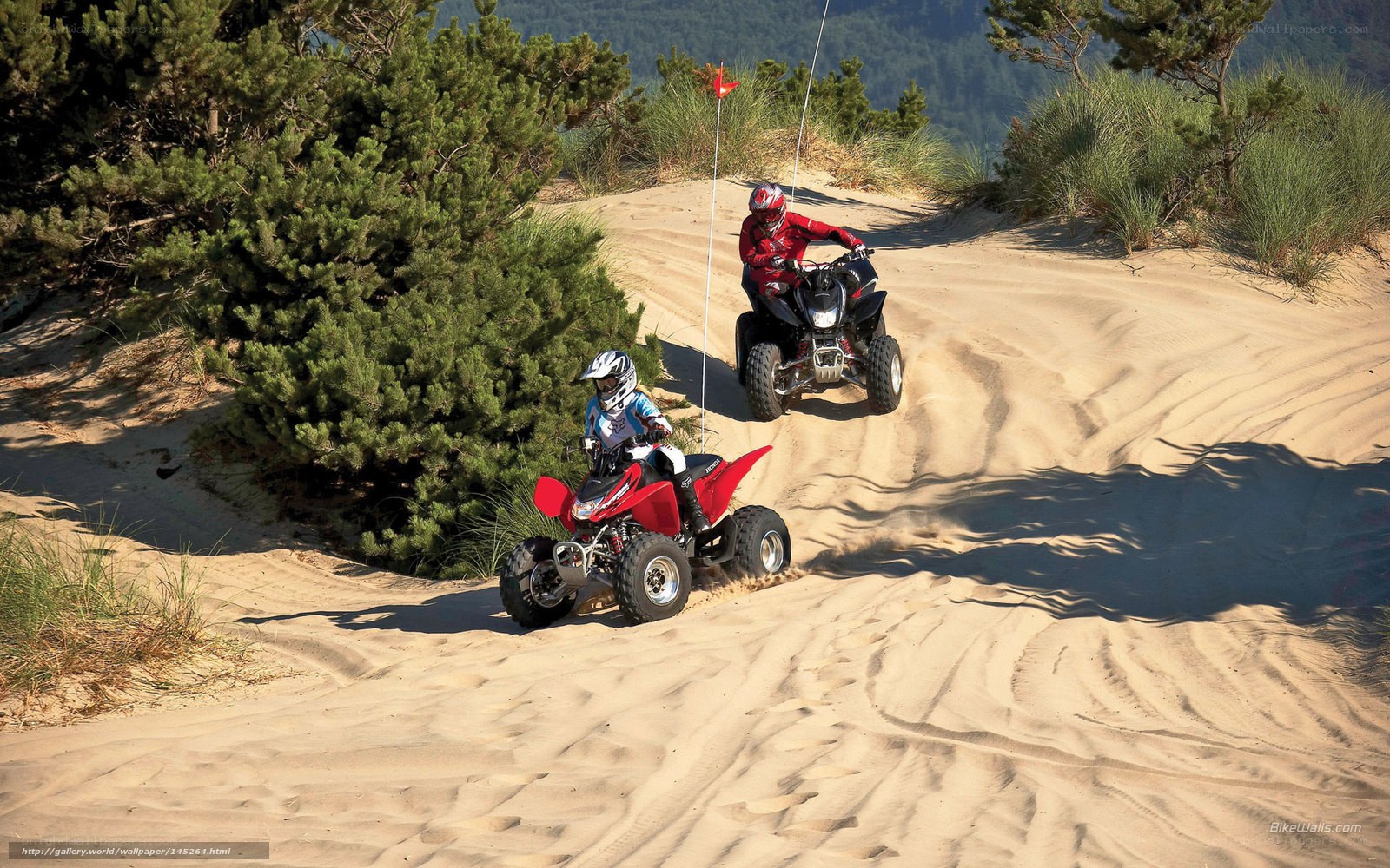ATV riding on sand dunes